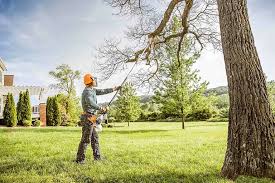 Best Tree Trimming and Pruning  in Hernando Beach, FL