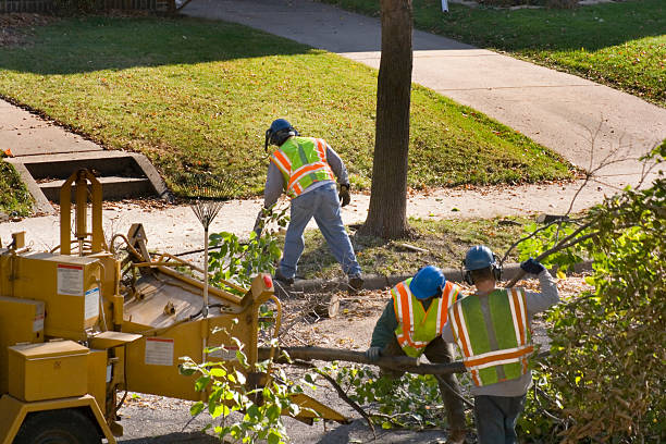 Best Tree Risk Assessment  in Hernando Beach, FL